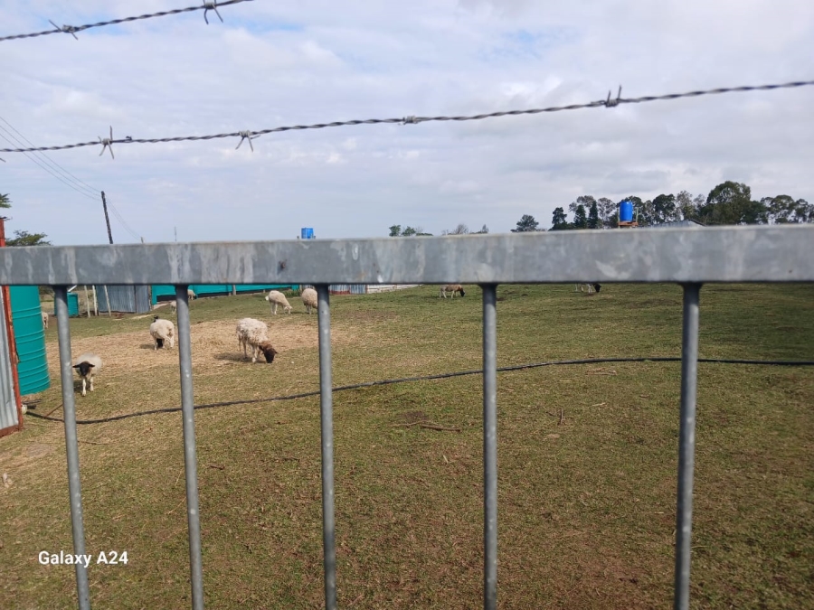 5 Bedroom Property for Sale in Macleantown Eastern Cape